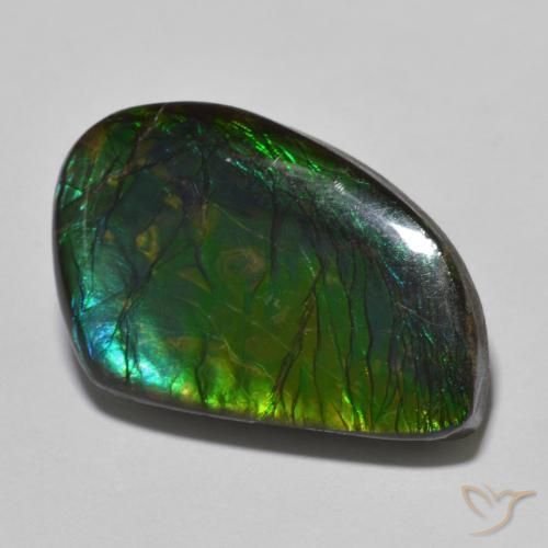21.44ct 天然 マルチカラー アンモライト, ファンシー, オペーク