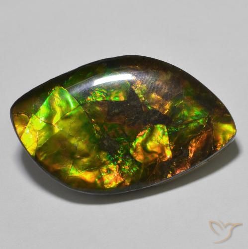 22.60ct 天然 マルチカラー アンモライト, ファンシー, オペーク