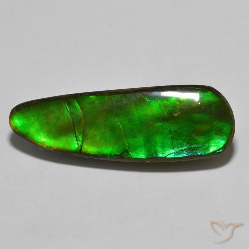 17.83ct 天然 マルチカラー アンモライト, ファンシー, オペーク