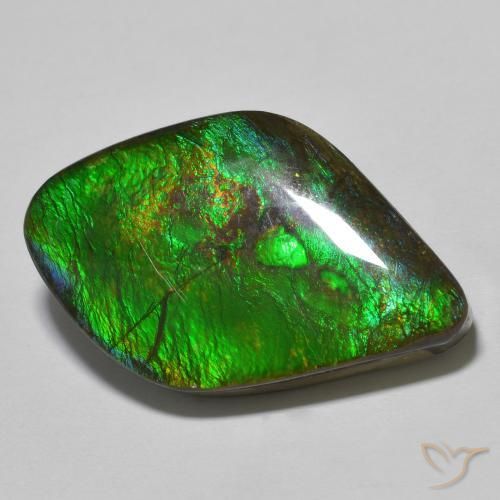 19.69ct 天然 マルチカラー アンモライト, ファンシー, オペーク