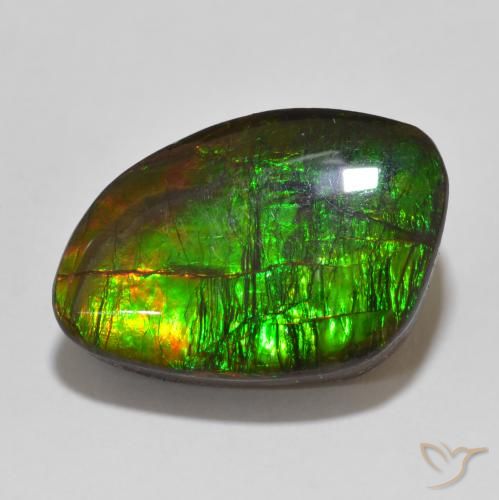 13.47ct 天然 マルチカラー アンモライト, ファンシー, オペーク
