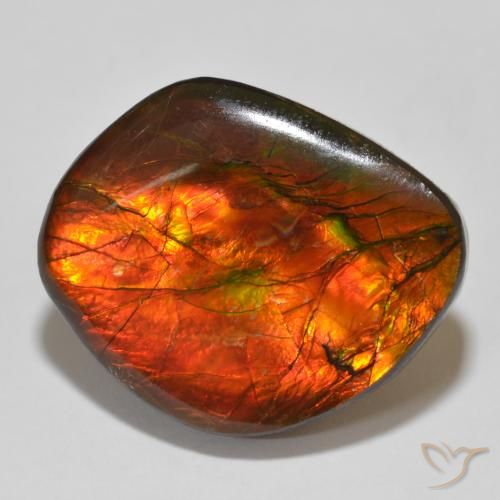 15.32ct 天然 マルチカラー アンモライト, ファンシー, オペーク