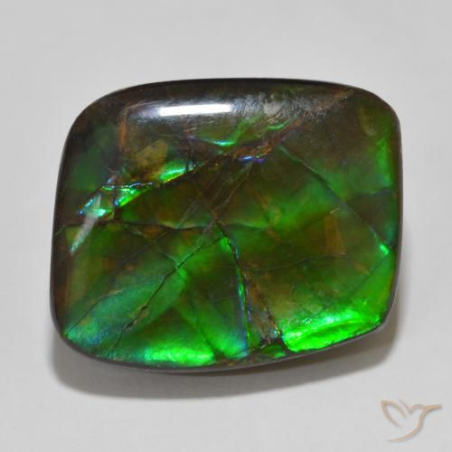 14.81ct 天然 マルチカラー アンモライト, ファンシー, オペーク
