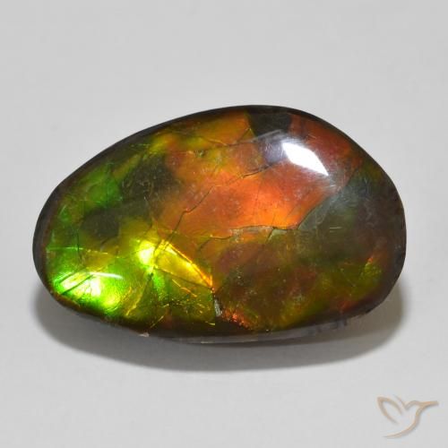 13.56ct 天然 マルチカラー アンモライト, ファンシー, オペーク