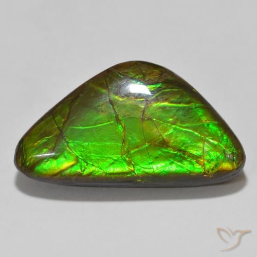 15.46ct 天然 マルチカラー アンモライト, ファンシー, オペーク