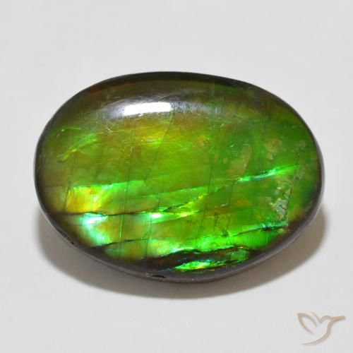 12.26ct 天然 マルチカラー アンモライト, 楕円形, オペーク