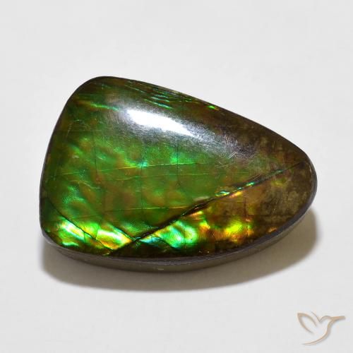10.67ct 天然 マルチカラー アンモライト, ファンシー, オペーク