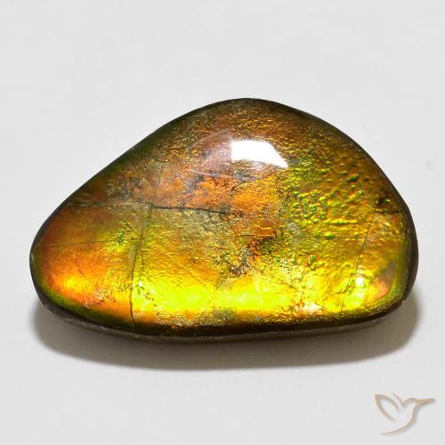 12.35ct 天然 マルチカラー アンモライト, ファンシー, オペーク