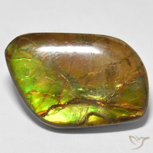 16.70ct 天然 マルチカラー アンモライト, ファンシー, オペーク