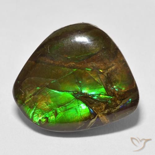 13.52ct 天然 マルチカラー アンモライト, ファンシー, オペーク