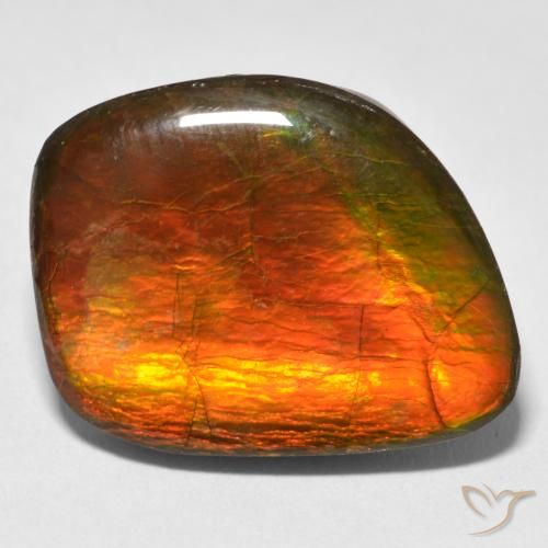 15.38ct 天然 マルチカラー アンモライト, ファンシー, オペーク