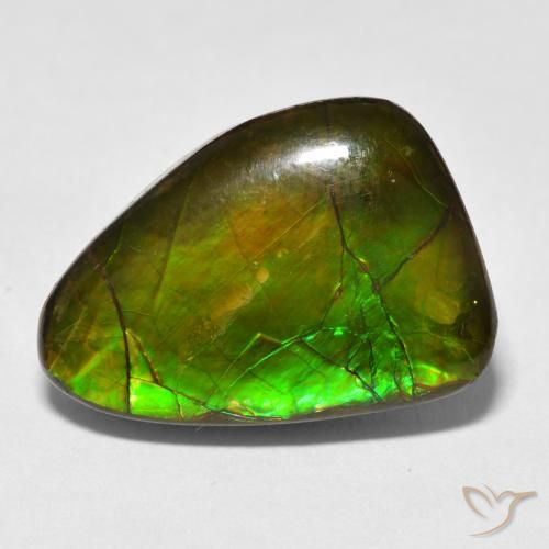 13.40ct 天然 マルチカラー アンモライト, ファンシー, オペーク