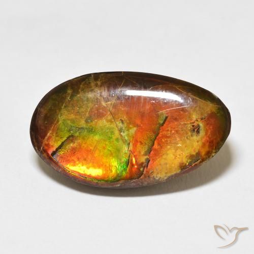 15.62ct 天然 マルチカラー アンモライト, ファンシー, オペーク
