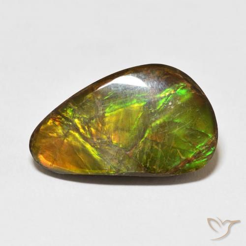 14.61ct 天然 マルチカラー アンモライト, ファンシー, オペーク