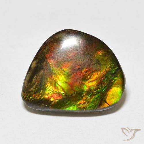 11.60ct 天然 マルチカラー アンモライト, ファンシー, オペーク