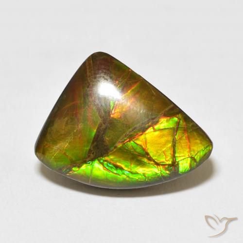 10.22ct 天然 マルチカラー アンモライト, ファンシー, オペーク