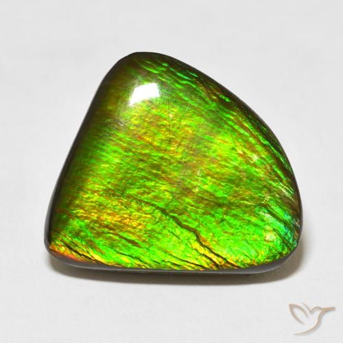 16.47ct 天然 マルチカラー アンモライト, ファンシー, オペーク