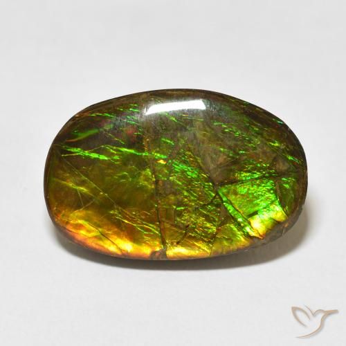 16.55ct 天然 マルチカラー アンモライト, ファンシー, オペーク