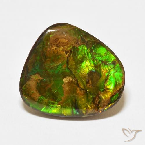13.95ct 天然 マルチカラー アンモライト, ファンシー, オペーク