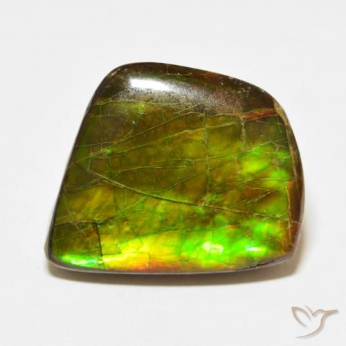 21.56ct 天然 マルチカラー アンモライト, ファンシー, オペーク