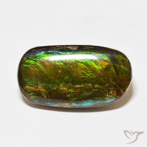 12.73ct 天然 マルチカラー アンモライト, ファンシー, オペーク