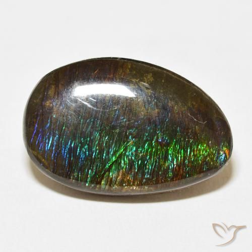 14.24ct 天然 マルチカラー アンモライト, ファンシー, オペーク