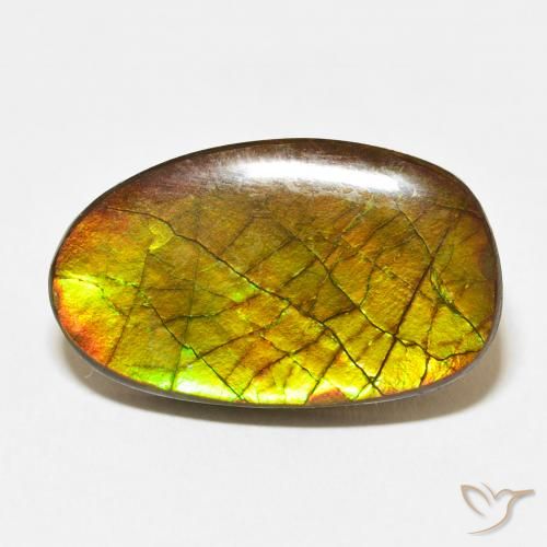 13.58ct 天然 マルチカラー アンモライト, ファンシー, オペーク