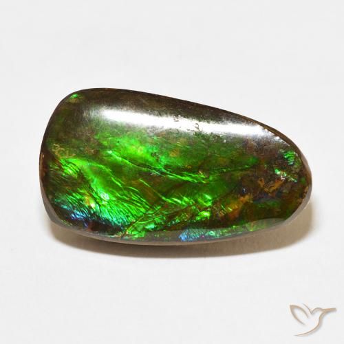 12.15ct 天然 マルチカラー アンモライト, ファンシー, オペーク