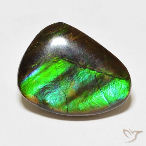 11.84ct 天然 マルチカラー アンモライト, ファンシー, オペーク