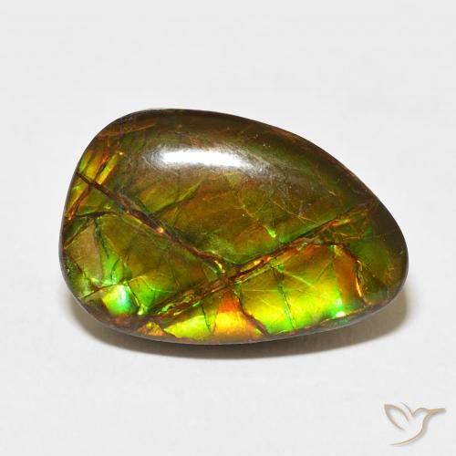 11.07ct 天然 マルチカラー アンモライト, ファンシー, オペーク