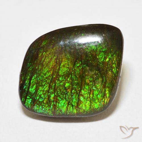 10.62ct 天然 マルチカラー アンモライト, ファンシー, オペーク