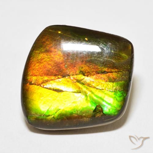 13.63ct 天然 マルチカラー アンモライト, ファンシー, オペーク