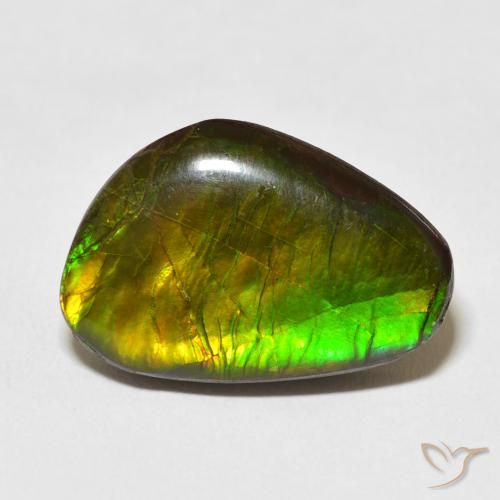13.79ct 天然 マルチカラー アンモライト, ファンシー, オペーク
