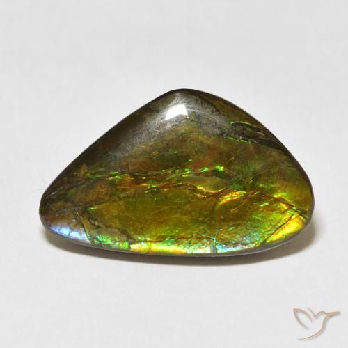 13.60ct 天然 マルチカラー アンモライト, ファンシー, オペーク