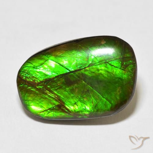 13.96ct 天然 マルチカラー アンモライト, ファンシー, オペーク