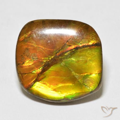 15.37ct 天然 マルチカラー アンモライト, ファンシー, オペーク