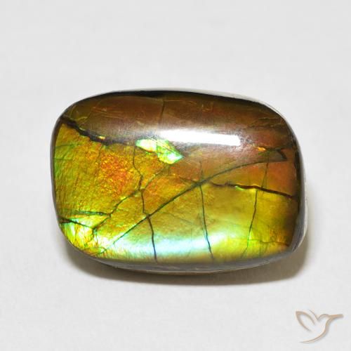 13.68ct 天然 マルチカラー アンモライト, ファンシー, オペーク