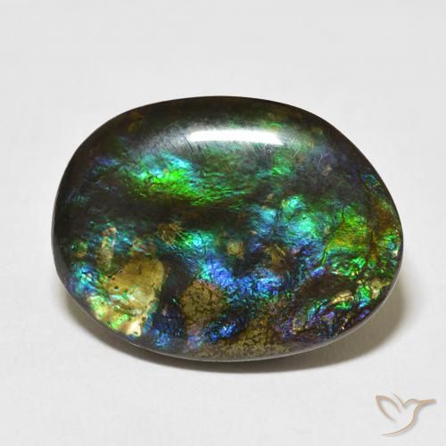15.59ct 天然 マルチカラー アンモライト, ファンシー, オペーク