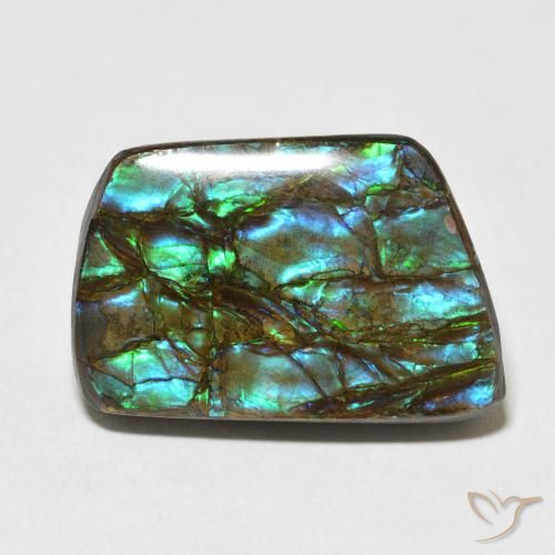 13.92ct 天然 マルチカラー アンモライト, ファンシー, オペーク