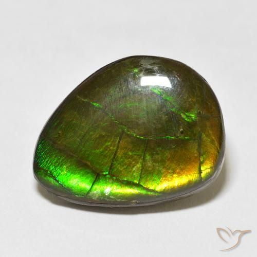 13.55ct 天然 マルチカラー アンモライト, ファンシー, オペーク