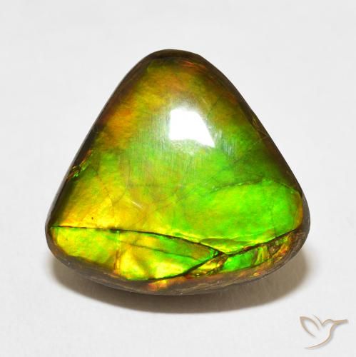 10.86ct 天然 マルチカラー アンモライト, トリリオン, オペーク