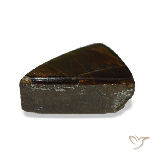 1.64カラットの天然マルチカラーアンモライト（8.8×7 mm・トリリアント）