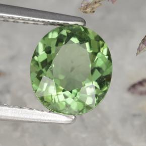 1.58カラットの天然ディープグリーンアパタイト（7.9×7 mm・オーバルカット）
