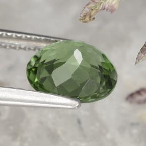 1.58カラットの天然ディープグリーンアパタイト（7.9×7 mm・オーバルカット）
