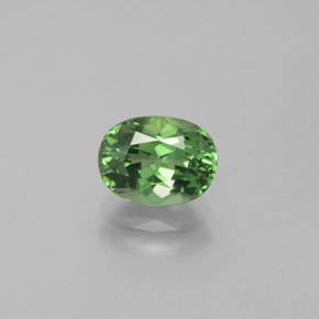 1.69カラットの天然グリーンアパタイト（8.2×6.2 mm・オーバルカット）