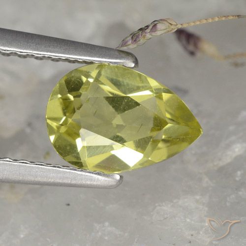 1.11ct 天然 ウォームフォレストグリーン アパタイト, 洋梨の形, VS