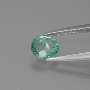 0.62カラットの天然グリーンアパタイト（6.3×5.3 mm・オーバルカット）