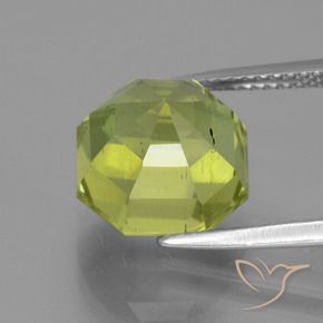 8.10カラットの天然黄色がかった緑アパタイト（10.9×10.6 mm・エメラルドカット）