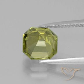 2.61カラットの天然ウォームフォレストグリーンアパタイト、八角形 / エメラルドカット、VS