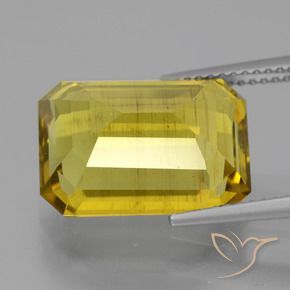 10.57カラットの天然深い黄色アパタイト、八角形 / エメラルドカット、VS